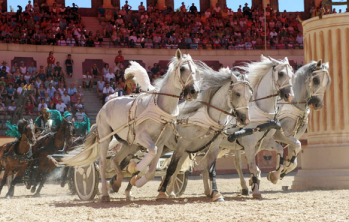 Campingplatz Puy du Fou - 28 - MAGAZINs